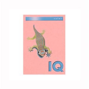 (業務用セット) 伊東屋 バイオトップカラー A4判 250枚入 160g/m2 BT804 ピンク 【×2セット】