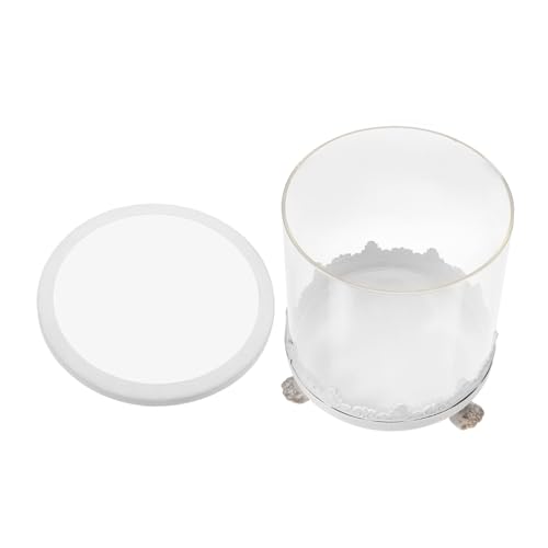 GRIRIW Glass Cloche Dome Matches Cloche Display Cases for Collections Glass Domes for Display