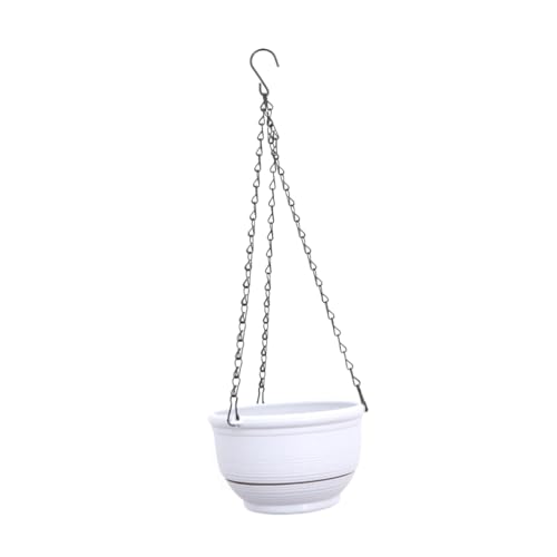 TOYANDONA 1 Pièce Pot Suspendu à Arrosage Automatique pour Plantes Vertes Panier Décoratif Murale pour Chlorophytum et Plantes