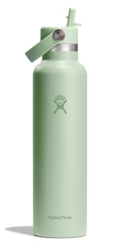 Hydro Flask Water Bottle - Insulated Stainless Steel - Straw Lid, Non Spill, Leakproof 24 Oz Aloe Green
