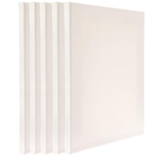 Hobby Lobby Super Value Blank Canvas Set for Painting, Oil and Acrylic Compatible, Gesso Primed, Acid-Free, Archival Quality (16