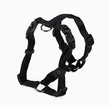 FARM COMPANY - PETTORINA ALLA ROMANA IN NYLON - Nero, 20 mm x 50/71 cm