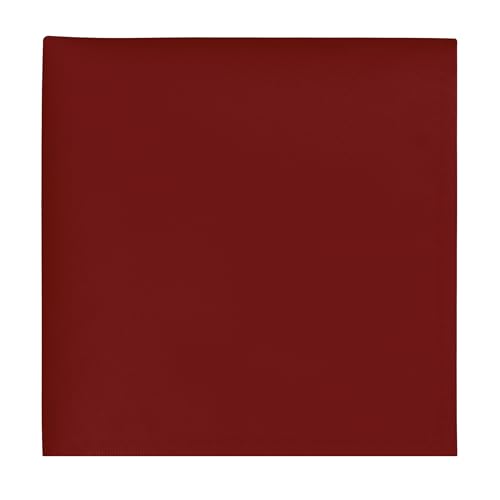 BEWDIO Red Men's Pocket Square, Solid Color Boys Handkerchiefs for Men Wedding Party (62-15S)