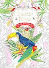 Paperback Exotic Birds Color by Number Book