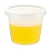 Globe Scientific 271172 Multi-Purpose Container, Economy Style, Separate Snap Lid, Capacity (Case of 10)