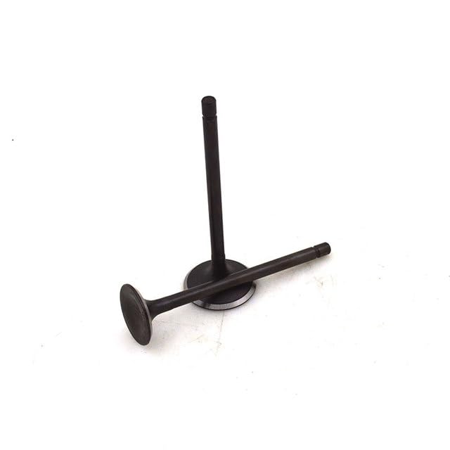 AUTO-UAE - Motorcycle Engine Valve Intake Exhaust Valve Guide Oil Seal for Yamahas CRYPTON 110 (valve)