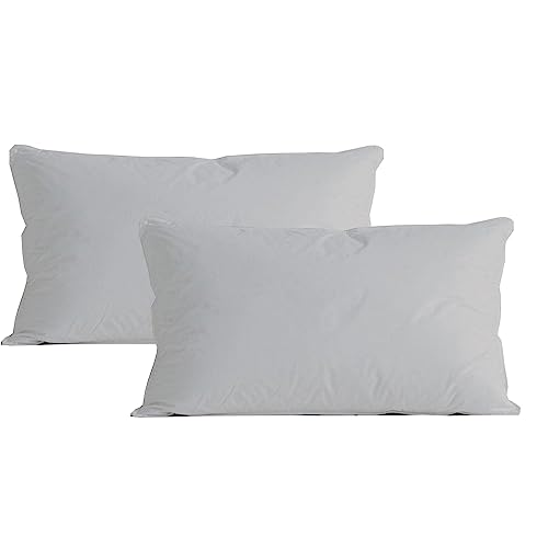 Image of Microfiber Pillow Set of 2 for Sleeping - 17x27 Inches, Light Grey