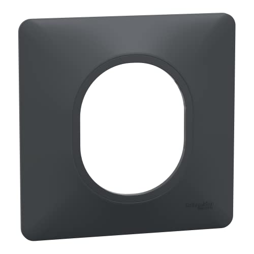 Schneider Electric - Ovalis - Plaque de finition - 1 poste Anthracite - S340702 Cover
