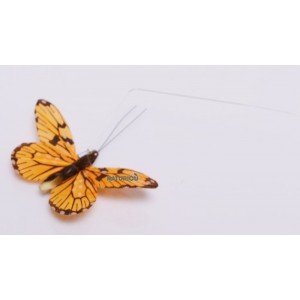 Papillon solaire Héliobil