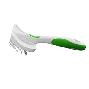 Andis68565stainlesssteelslickerbrushfordogsandcatsdurableandlightweightgroomingtoolforallbreedsandfurlengthsreducessheddingandpromoteshairgrowthmediumgreen  Cucciolini Doodles   cucciolini doodles
