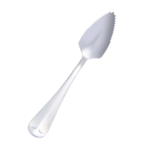 Fuuxtci Cucharas Postre - Utensilio Serrado Para Comer,Cucharas De Acero Inoxidable Para Servir,Postre Fruta Desayuno Servir