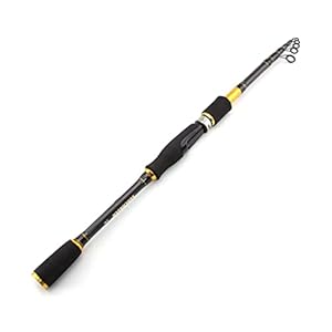 Visstang/visserspaal Hengel, koolstofhengel Draagbare telescopische hengel gieten draaiende vis hand vissen packle sea rod Haspelcombo’s (Color : Spinning Rod, Length : 2.4 m)
