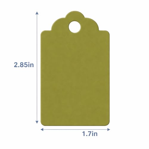 Image of CVANU 150pcs Premium Color Tag Blank Hanging with Pre-Punched Hole Tags for DIY Crafts, Gift Wrapping, Labelling & Writable Decorative Tags for All Occasions (2.85in X 1.7in) Mehendi Green