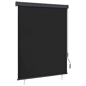 INLIFE Außenrollo Senkrechtmarkise 140x250 cm Anthrazit