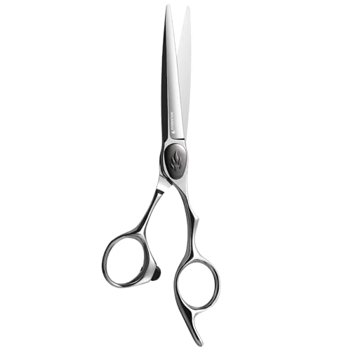 AOLANDUO VG10 Steel Hair Cutting Scissors, 6-inch