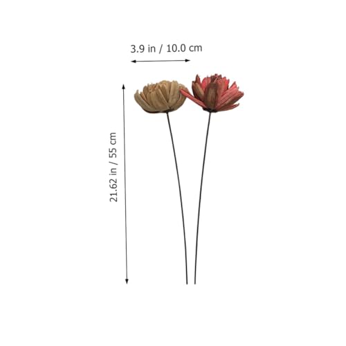 Ramo Decorativo de Flores Secas Natural 2 Piezas miniatura 4