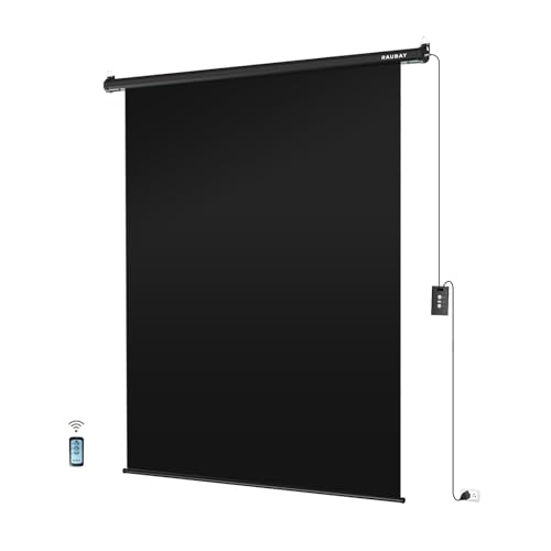 RAUBAY Motorized Pull Down Screen