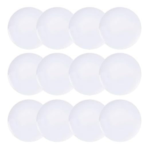 Pratos Rasos Leonora Porcelana 12 Peças