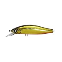 イッセイ　GCミノー Amazon.co.jp: イッセイ (ISSEI) G.C.ミノー55SR-F (#03 ハスゴ