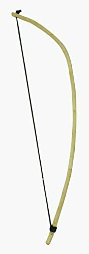 Naad Rajasthani Musical Folk Fiddle Sarangi Ravanhatta String Instrument Ravanahatha #TOP5