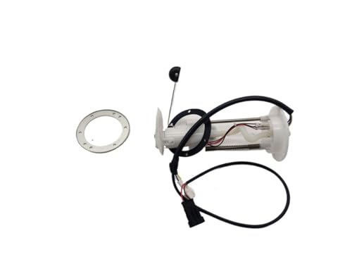 Réservoir de Carburant en Fer anti-panne avec Pompe Huile Moto LH260 UTV 27845