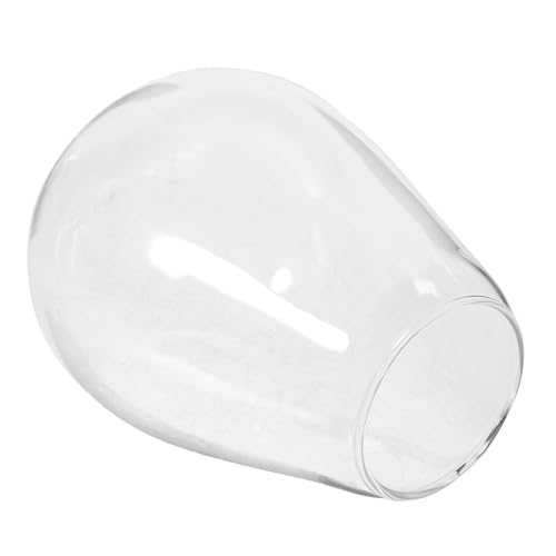 MAGICLULU Florero Micropaisaje Suculentas De Terrario Terrarios Suculenta Plantas Al Aire Libre Suculento Floreros Largo Terrario De Jardín con Botella Mini Vidrio De Alto Borosilicato