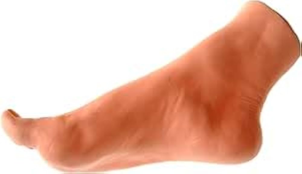 Amazon.co.jp: [カロカック] 足の模型 実寸大 足 模型 足