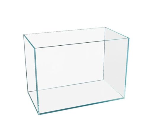 KX̔MȂA^ApAƒpAgXP[vGRW[IȋEETMp (25*16)