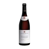 Bouchard Père Pinot Negro Pommard 75 cl Vino tinto