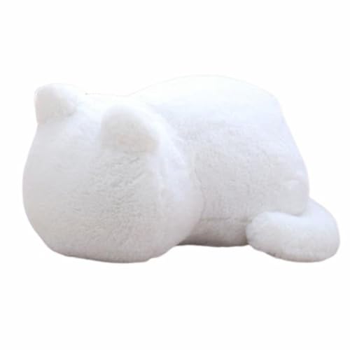 LNbV NbV L^ ӂӂ̔L^NbV ʂ NbV ˂^ ܂ ʂ lR ˂D L Lbg ӂӂ