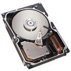 IBM - 146 GB Hot Swap 3.5 inch 15 K U320 * *