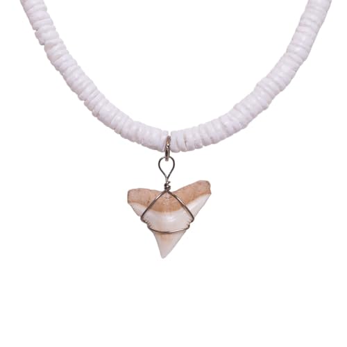 BlueRica Shark Tooth on Puka Shell Beads Necklace (18