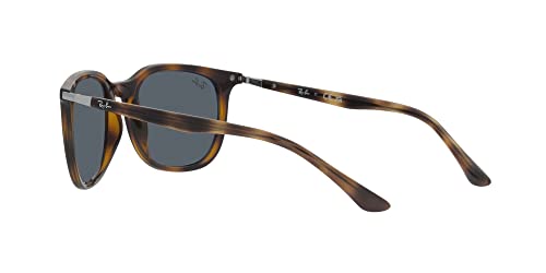 Image of Ray-Ban RB4386 Square Sunglasses