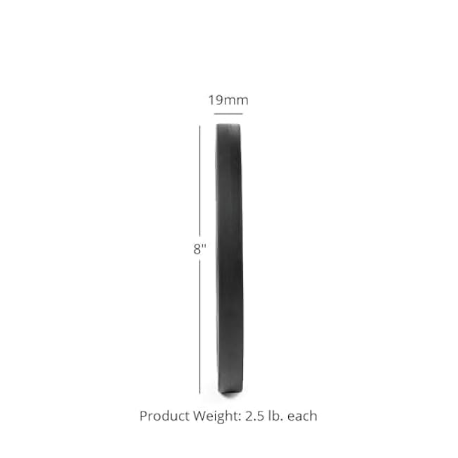 Titan Fitness 2.5 LB Pair Black Change Fractional Weight Plates, Rubber Coated Steel Bumper Plates, Fit Olympic Sized Barbells For Strength Training and Weightlifting