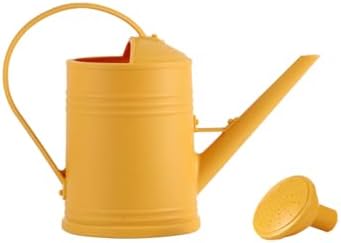 0.5 Gallon Plant Watering Can,Plastic Long Spout Watering Can with Detachable Sprinkler Head and Handles,Small Watering Can for House Succulent Bonsai Garden Flower Office Indoor Plants