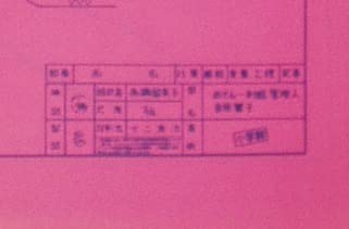 Amazon.co.jp: めぞん一刻 音無響子 設計図 布ポスター ビッグコミック