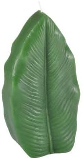 Homéa, Leaf Candle 9.5 x 3.5 x H18 cm Winter Garden Colour Dark Green