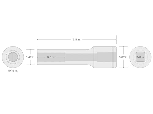 Image of TEKTON 3 /8 Inch Drive x 5 /16 Inch Deep 12-Point Socket | SHD13208