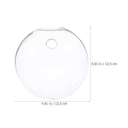 Jarrón de cristal para pared que soluciona la falta de espacio para tus plantas 3