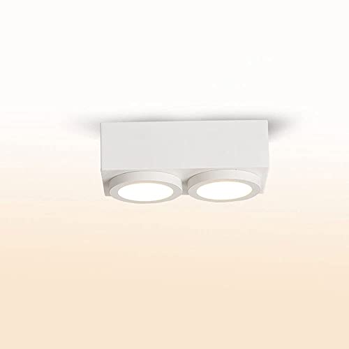 Plafonnier intérieur moderne avec double spot directionnel de surface