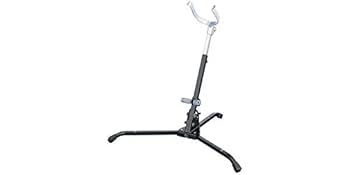 Amazon | OHASHI (オオハシ) アルトサックス・テナーサックス