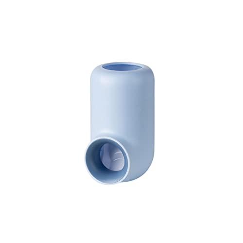 Support pour brosse à dents anti-poussière avec distributeur de dentifrice contre le désordre