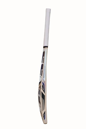 Image of SS Master 100 Kashmir Willow Cricket Bat Short Handle, Thick Edges, Sarawak Cane Handle, with Cover, Ready for Leather Ball