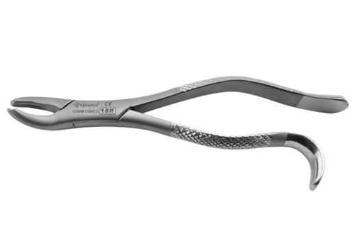 Cynamed Dental Extraction Forceps, 18R, Premium Stainless Steel