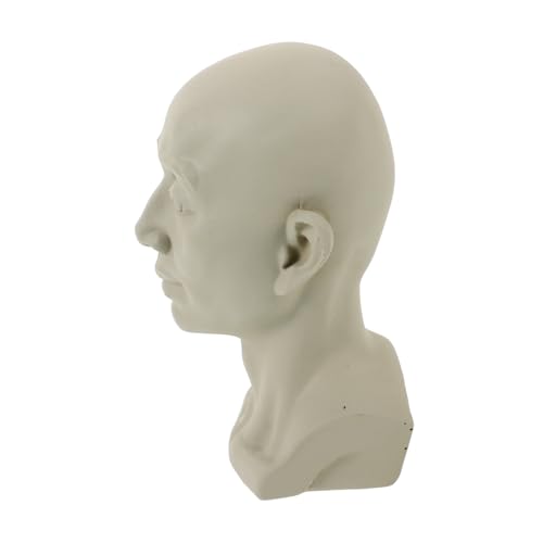 BEBEMOKO 素描用膏頭骨模型 小型デスクトップ彫刻装飾 インテリア家用オーナメント 安定底付きアートスタディフィギュア