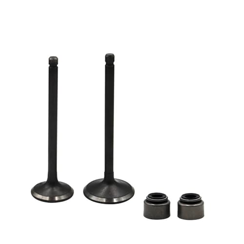Kit tige de valve moto pour résoudre les fumées bleues YFB250 YFM250 YFM25R