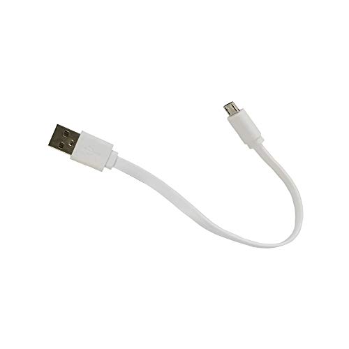 Streetwise Mini Keychain Stun Gun 22,000,000 Volts (Small Size, Big Power) Black #TOP5