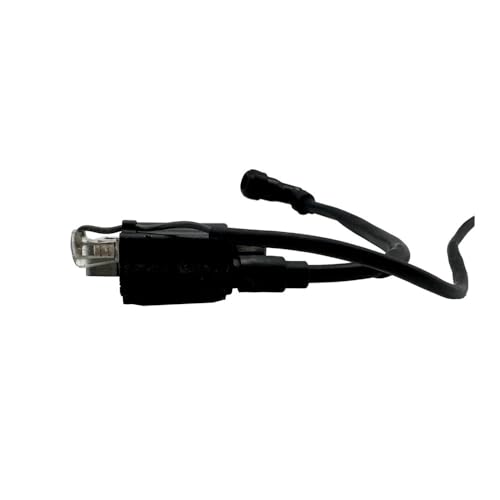 Bobina de encendido del módulo TCI 166F para generador de corriente EF2600 2