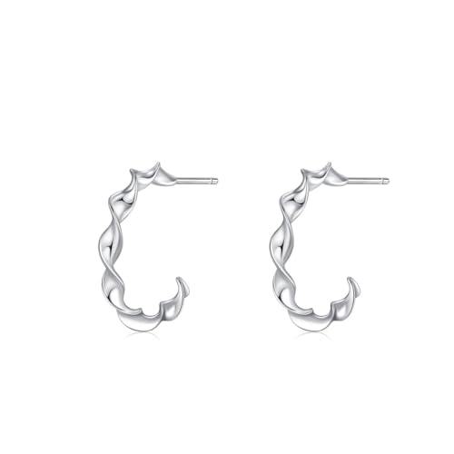 Cadeau pour anniversaire boucle d'oreille 925 argent femme clou