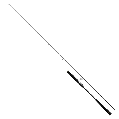 _C(DAIWA) CgWMO OUTRAGE(AEgCW) BR LJ 63HS-S